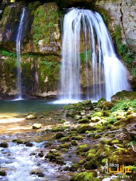 iooooooooooooooooooo